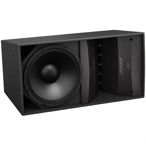 Пассивная акустическая система Bose ArenaMatch AM10/80