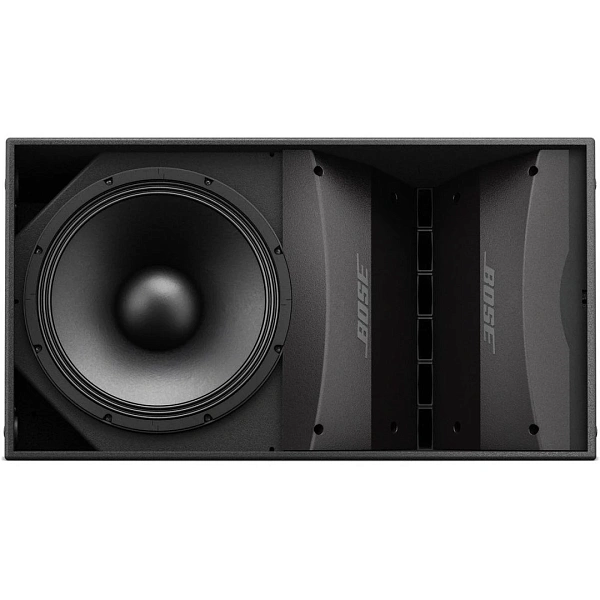 Пассивная акустическая система Bose ArenaMatch AM20/80