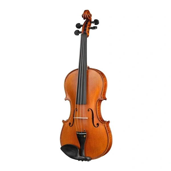 Скрипка Gliga P-V044 Professional Gama