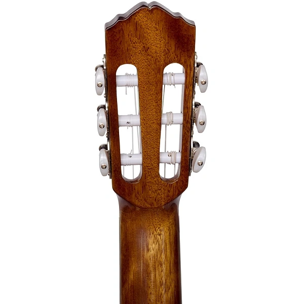 Классическая гитара Rockdale Classic C10