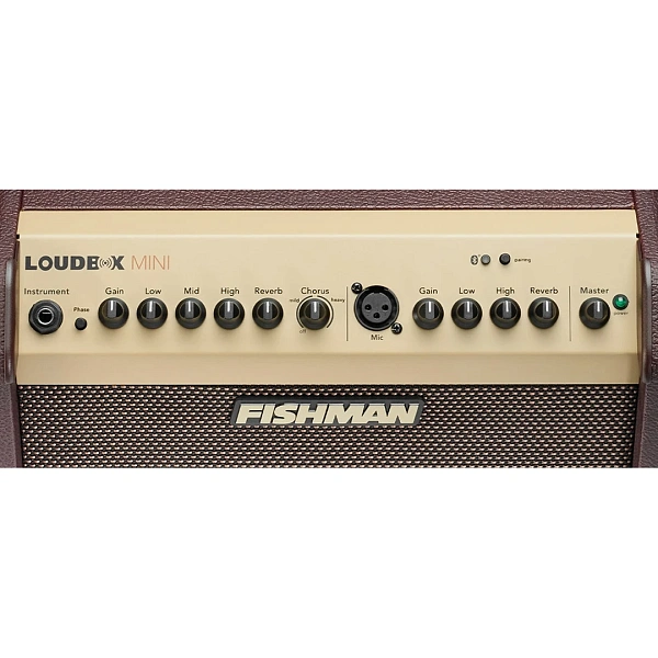 Комбоусилитель Fishman PRO-LBT-EU5 Loudbox Mini