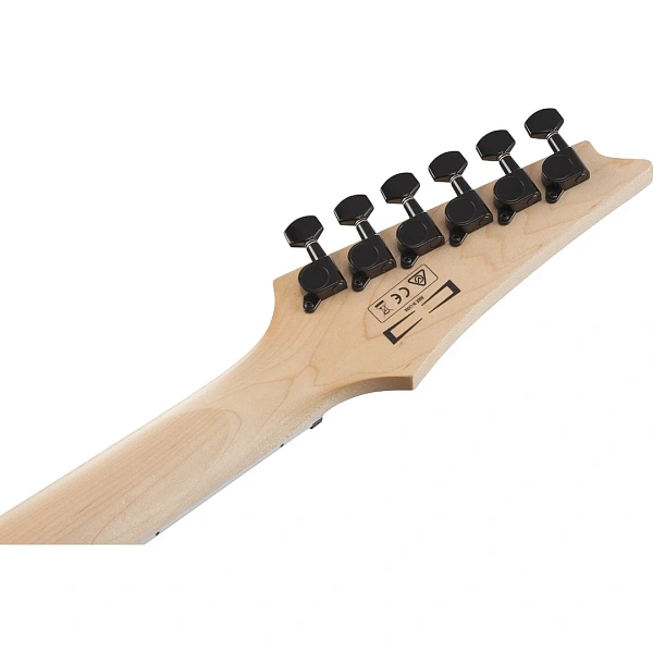 Электрогитара Ibanez GRGR221PA-AQB