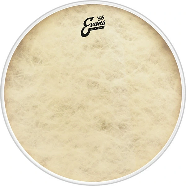 Пластик Evans BD26CT