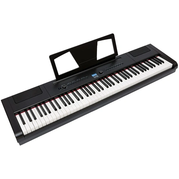 Цифровое пианино Rockdale RDP-4088 Elegy Black