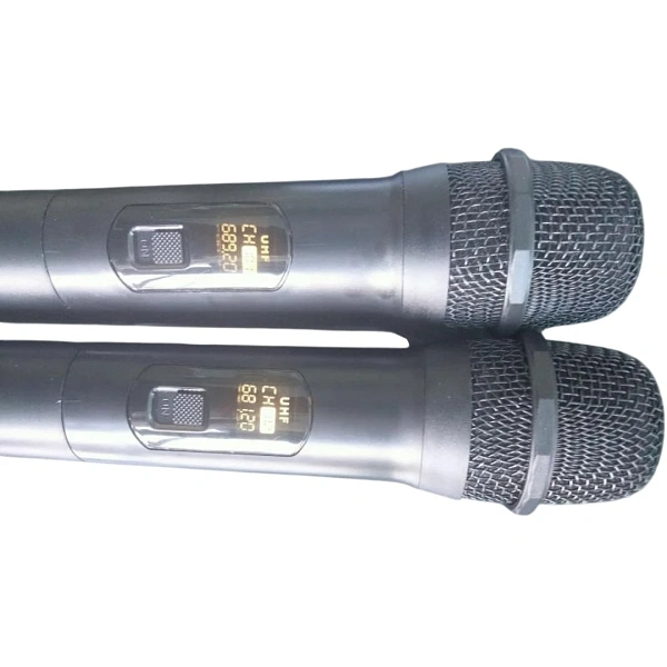 Портативная акустическая система HL Audio SKA15T