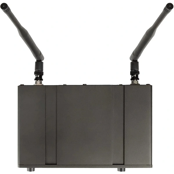 Радиосистема Axelvox DX800HT