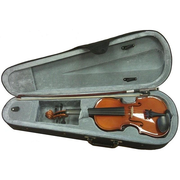 Скрипка Fleet FLT-VP4/4