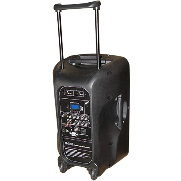 Портативная акустическая система Soundking WJ12A