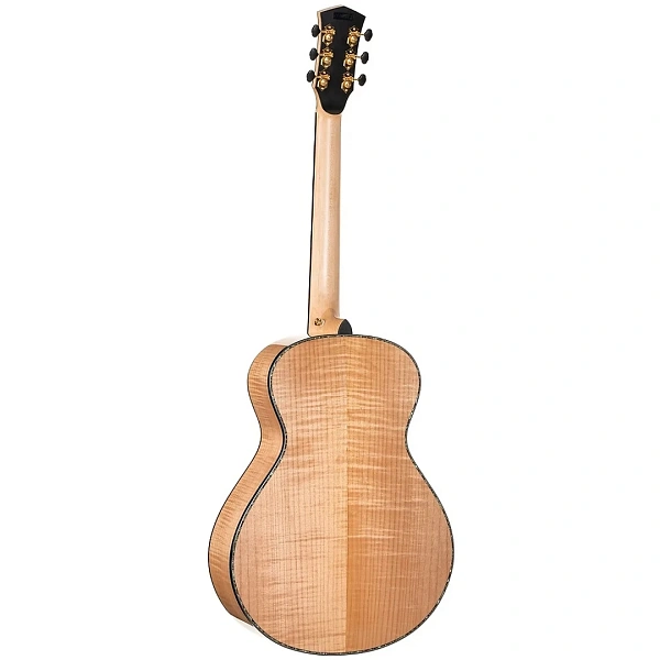 Электроакустическая гитара Cort Gold-Passion WCASE NAT