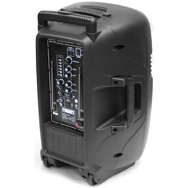 Портативная акустическая система Soundking SKA-12T