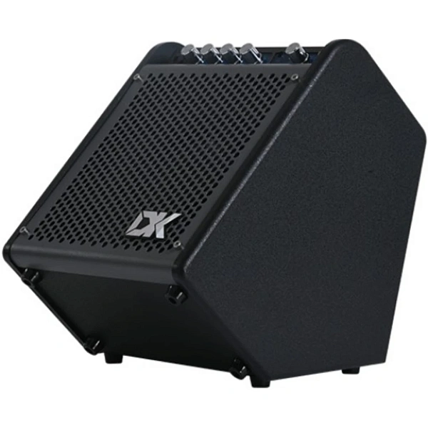 Комбоусилитель DK iD-25