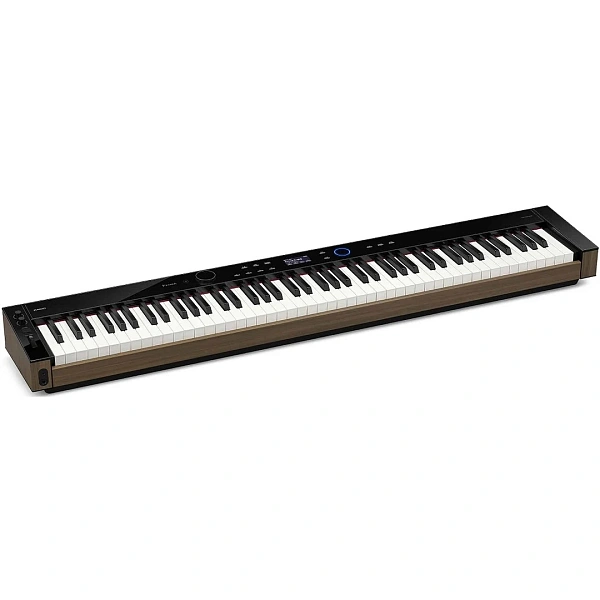 Цифровое пианино Casio PX-S6000BK
