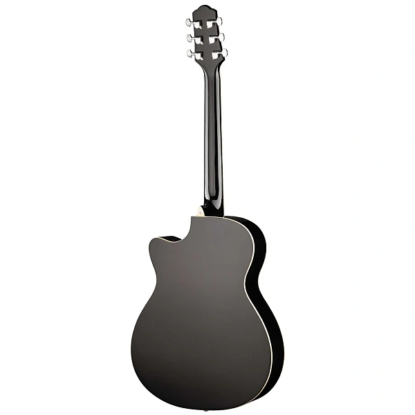 Акустическая гитара Naranda TG220CBK