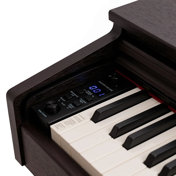Цифровое пианино Rockdale RDP-5088 Etude Rosewood
