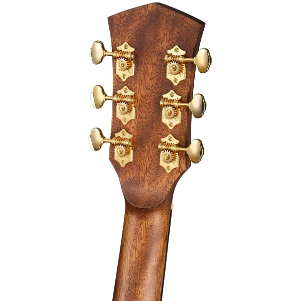 Электроакустическая гитара Cort Gold-D6 50th WCASE NAT