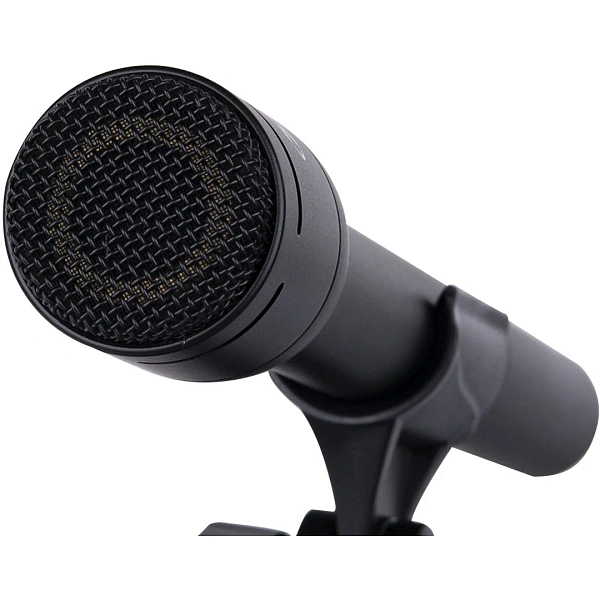 Микрофон Alctron RE660