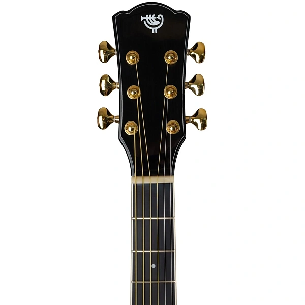 Акустическая гитара Rockdale Aurora D7 C BK Gloss