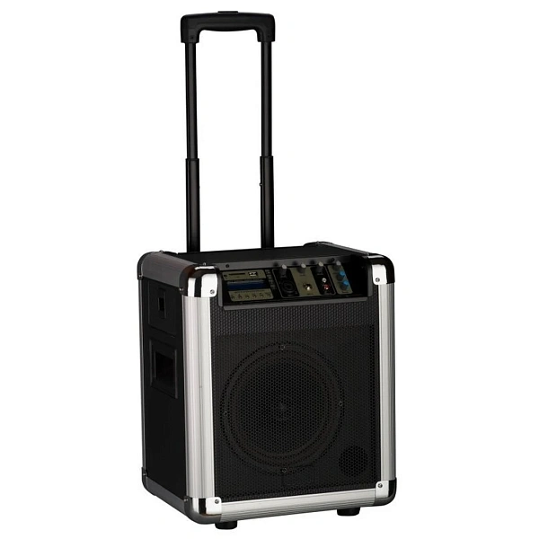 Акустическая система Soundking PA8M