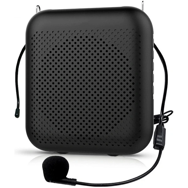 Портативная акустическая система Laudio WS-VA058-Pro
