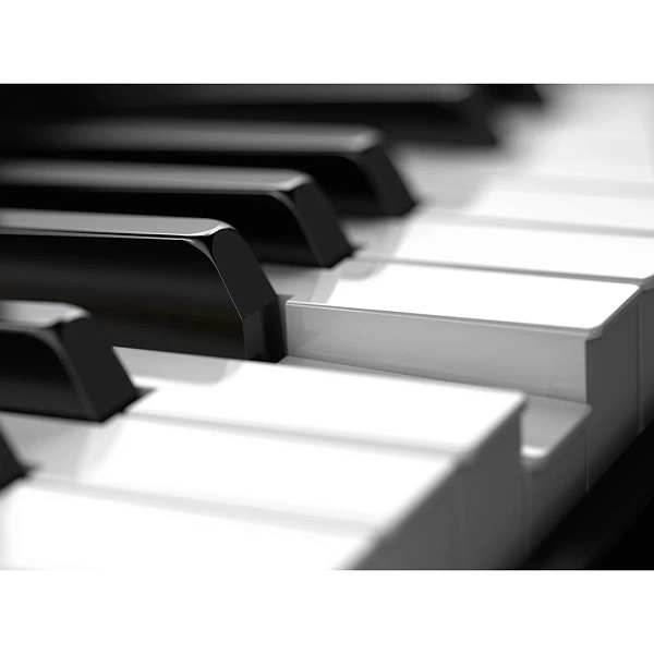 Синтезатор Roland Juno-DS88