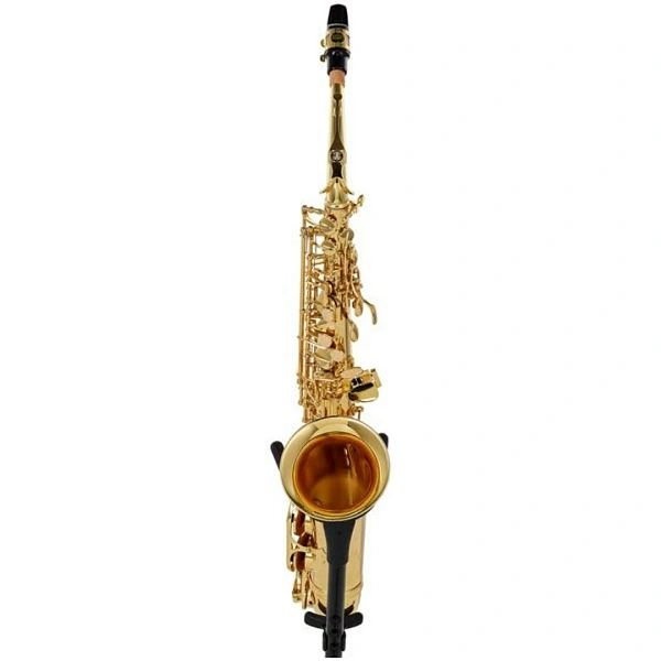Саксофон Buffet Crampon Prodige BC8101-1-0