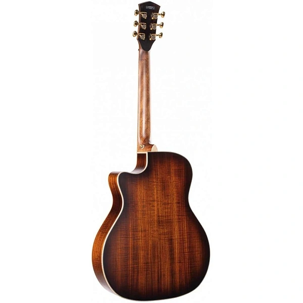 Электроакустическая гитара Cort The Black Tree WCASE LBS