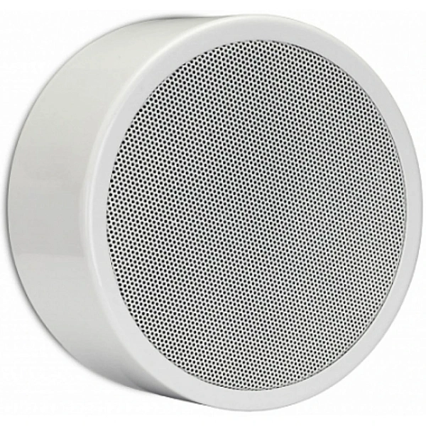 Пассивная акустическая система Apart EN-SM6T10-W
