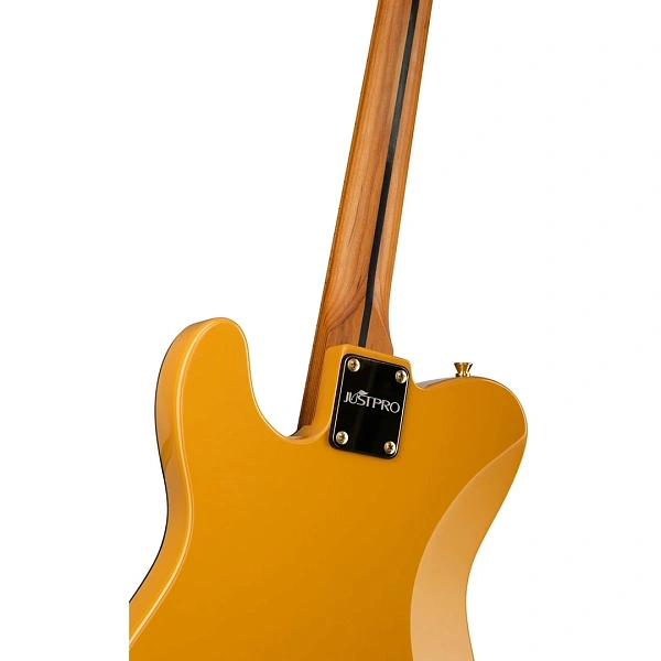 Электрогитара Justpro TCSE-RMA01-BG