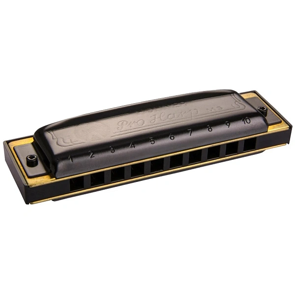 Губная гармошка Hohner Pro Harp 562/20 MS Bb