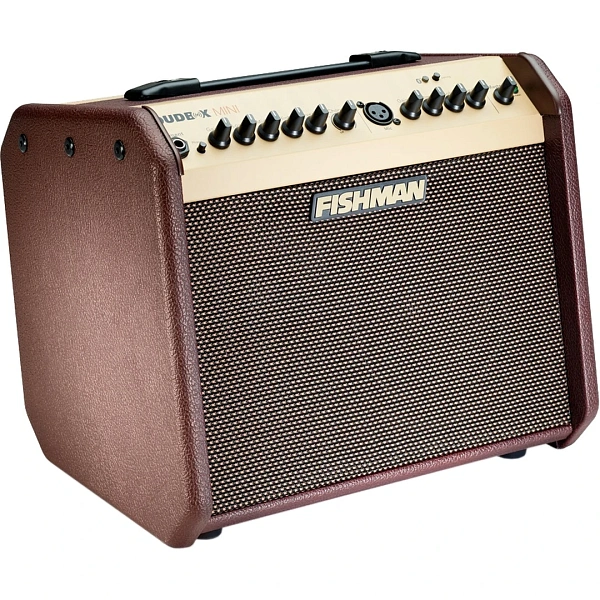 Комбоусилитель Fishman PRO-LBT-EU5 Loudbox Mini