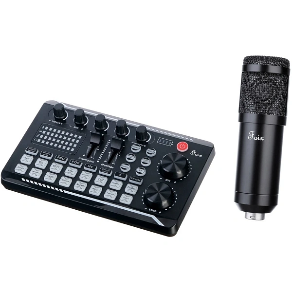 Студийный комплект Foix F998+BM800