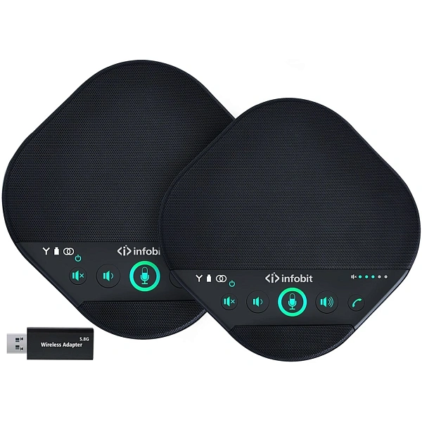 Радиосистема Infobit iSpeaker M600