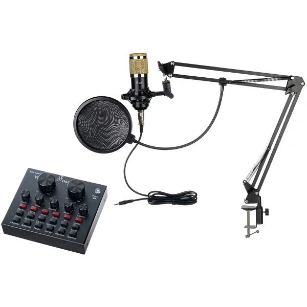 Студийный комплект Foix V8+BM800