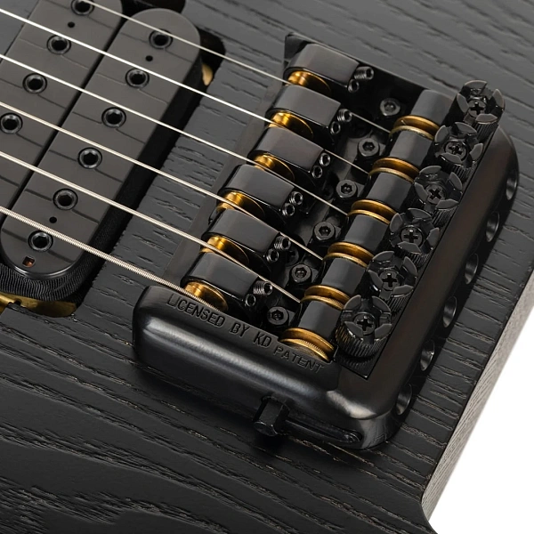 Электрогитара Eart GW2 Stealth Black