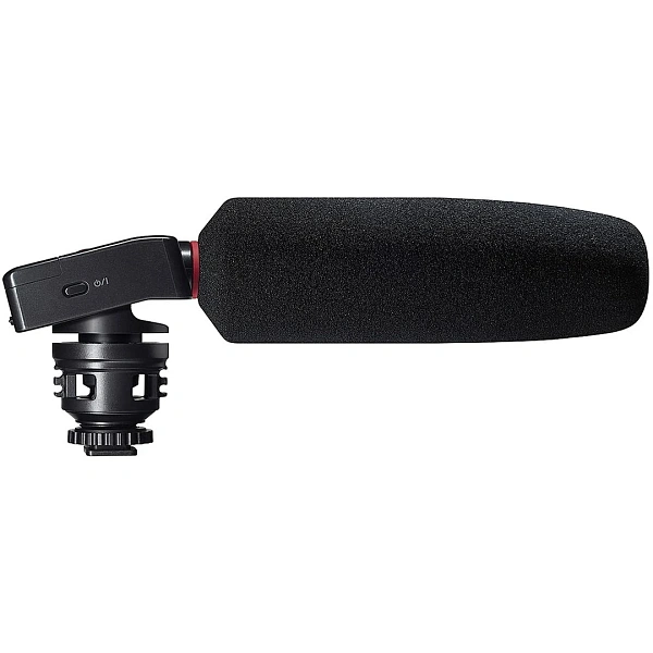 Портативный рекордер Tascam DR-10SG