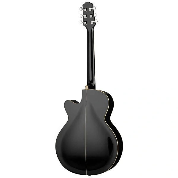 Акустическая гитара Naranda F303CBK