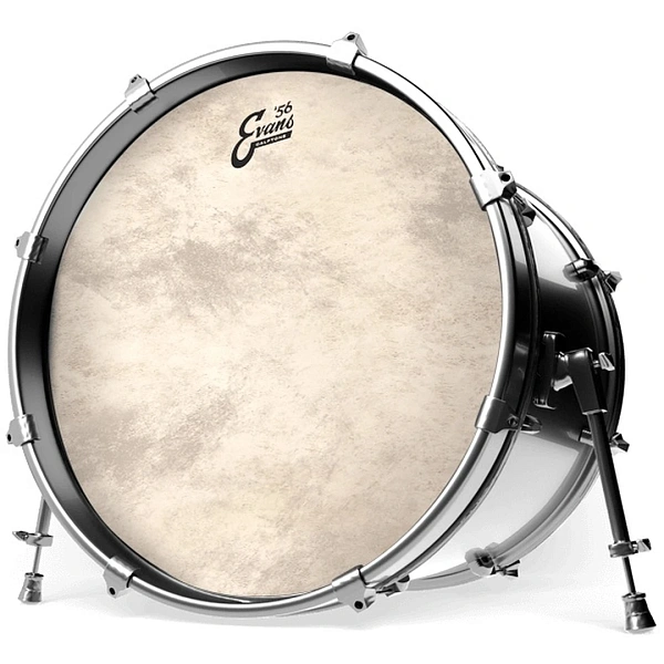 Пластик Evans BD18CT