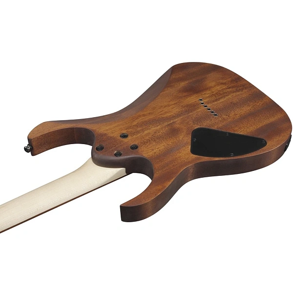 Электрогитара Ibanez RG421-MOL