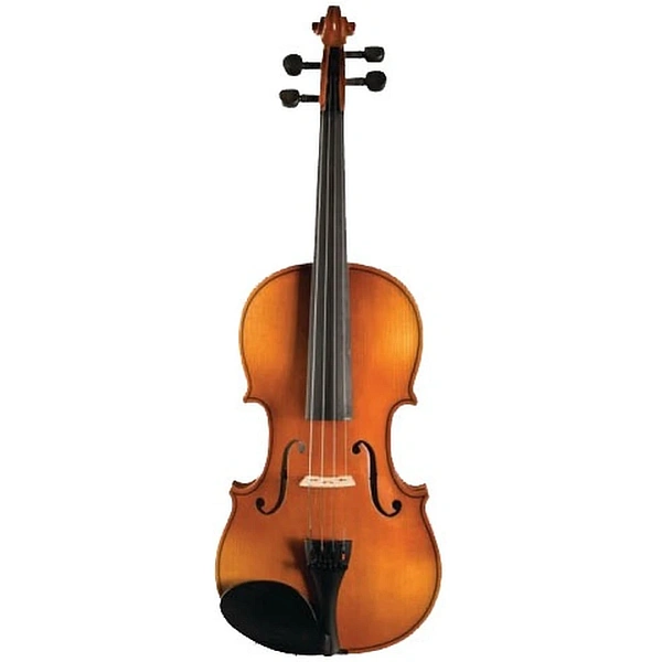 Скрипка Strunal Verona 150A 4/4