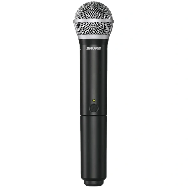 Радиосистема Shure BLX24RE/PG58 M17