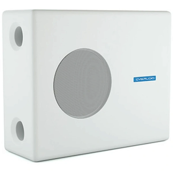 Сабвуфер CVGaudio SUBone B-8W/CR/T-100