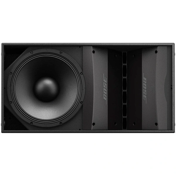 Пассивная акустическая система Bose ArenaMatch AM10/100