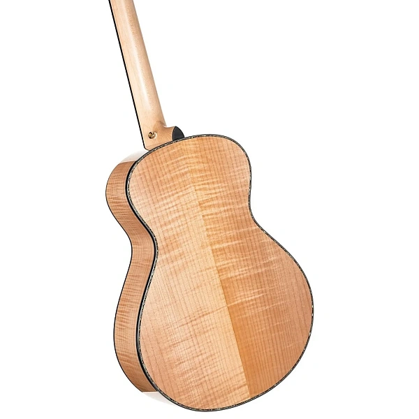 Электроакустическая гитара Cort Gold-Passion WCASE NAT