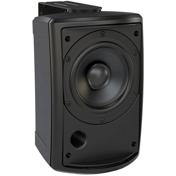 Пассивная акустическая система Tannoy AMS 5ICT