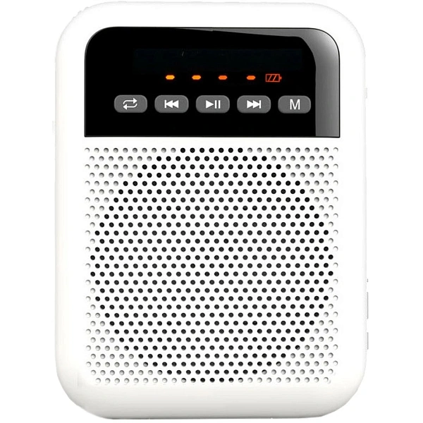 Портативная акустическая система Laudio WS-VA030-Pro