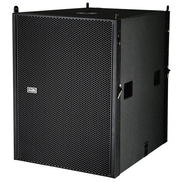 Сабвуфер Soundking G110S