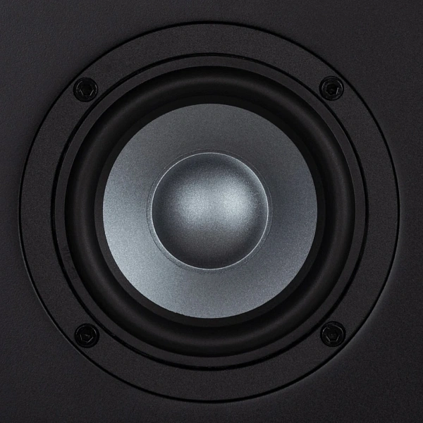 Студийный монитор EVE Audio EXO-24