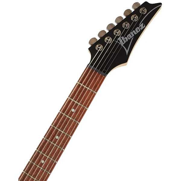 Электрогитара Ibanez RG421-MOL