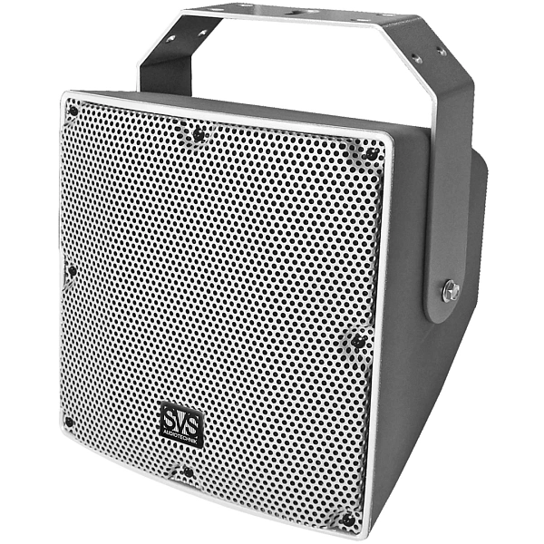 Сабвуфер SVS Audiotechnik IP-08S
