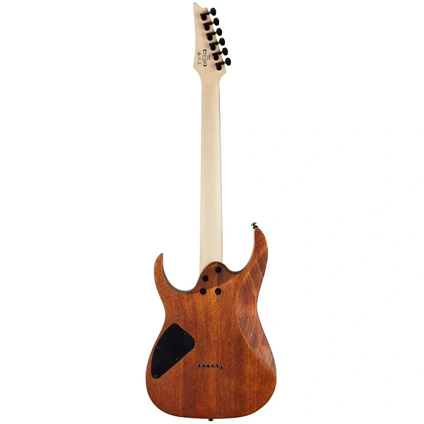 Электрогитара Ibanez RG421-MOL